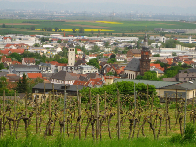 Wie läuft ein Immobilienverkauf in Grünstadt ab?