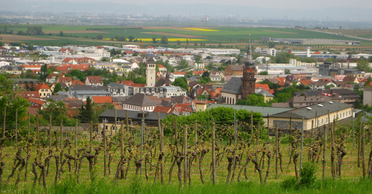 IMMOTAS GmbH & Co. KG